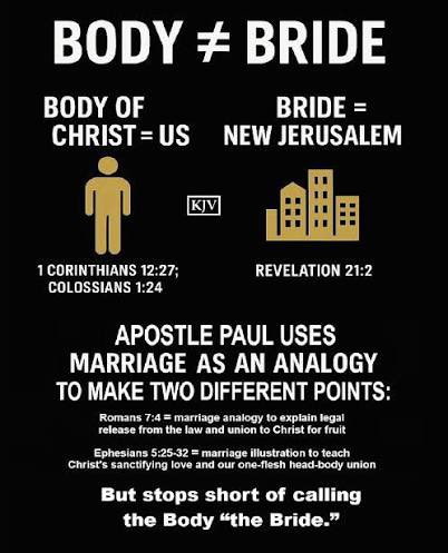 Professor 忍者Alex420 tweet media