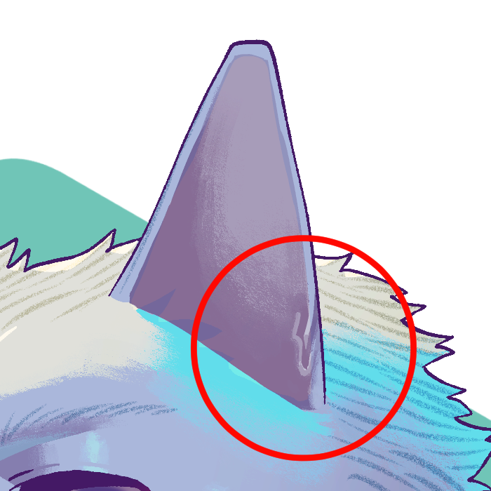 士八@すぴりっと🍎 tweet media