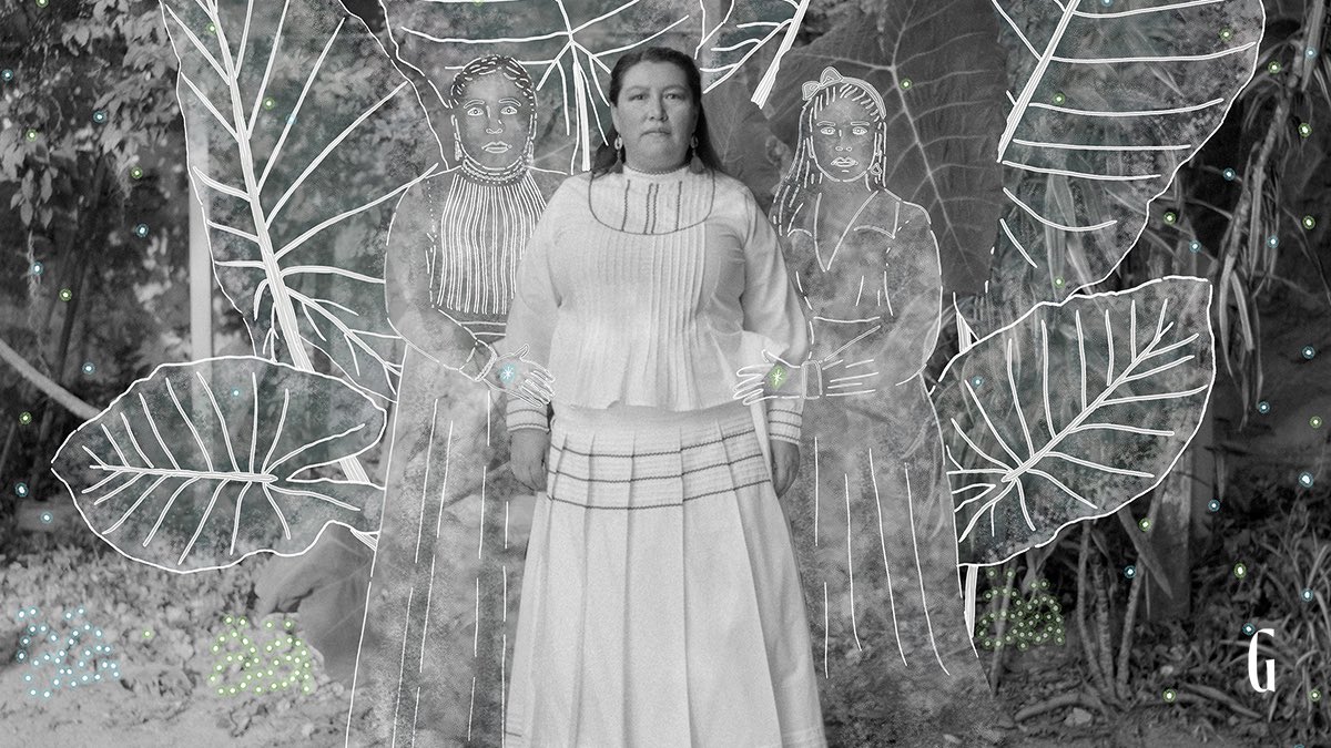 Gatopardo tweet media