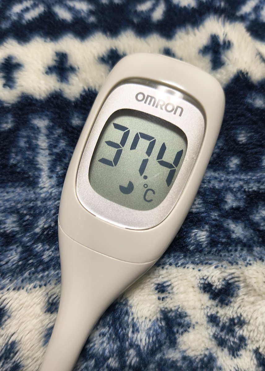 たくま🌙🦊🌾🦝🦖💥 🥟💙🏴‍☠️👯‍♀️ tweet media