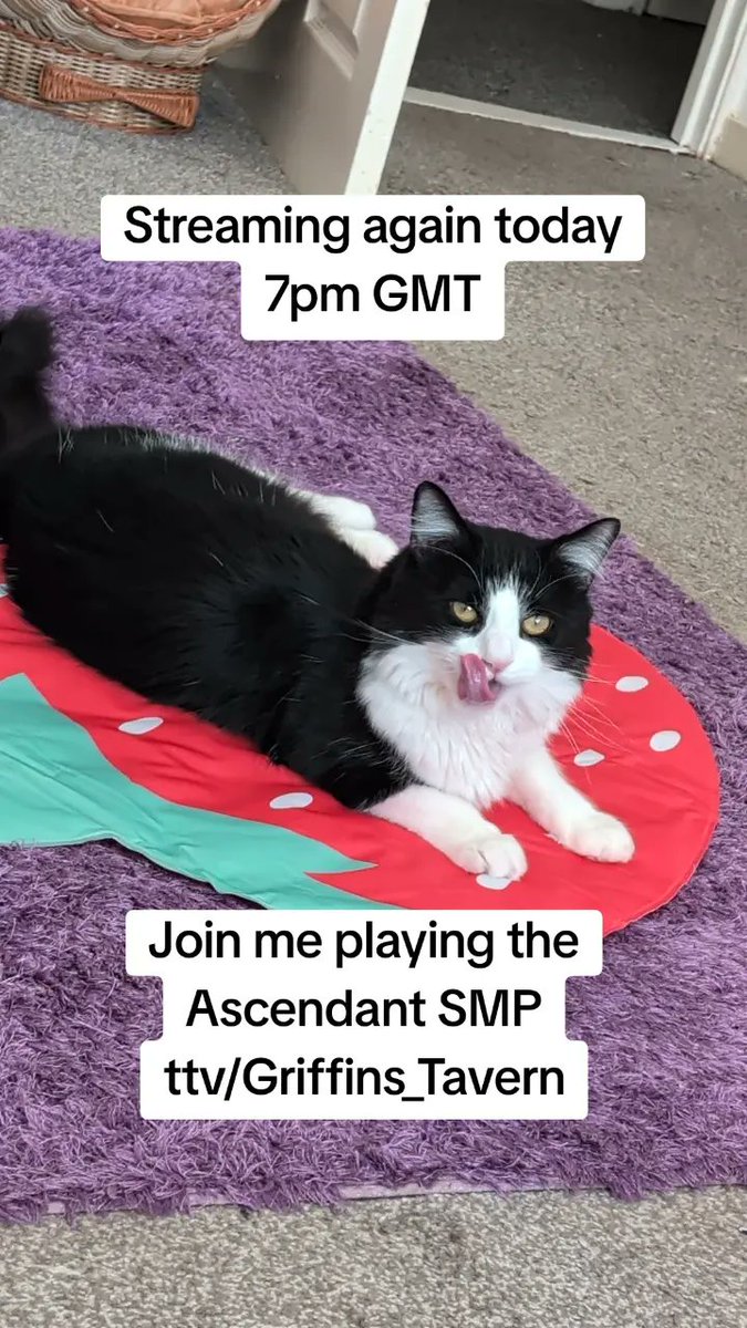 Griffins_Twt's tweet image. Join me on stream tonight to play more Minecraft! Any lurks, chatters and interactions are very much appreciated!
#ascendantsmp @AscendantSMP 
#minecraftstream