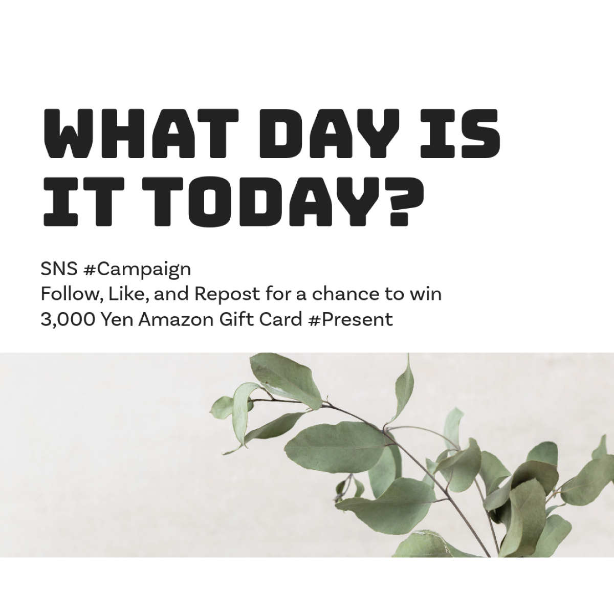 shaken_holiday's tweet image. 今日はなんの日❓

世界ペンギンの日
国連記念日
歩道橋の日

最近の歩道橋ってネーミングライツされてますよね❓中部地区走ってると結構変な名前が付いてますよw

🤘SNS #キャンペーン🤘
フォロー＆いいね・リポストで
👉#Amazon ギフト券3,000円分 #プレゼント🎁