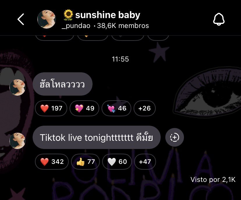 Shelly e Pundao Brasil 🇧🇷 tweet media