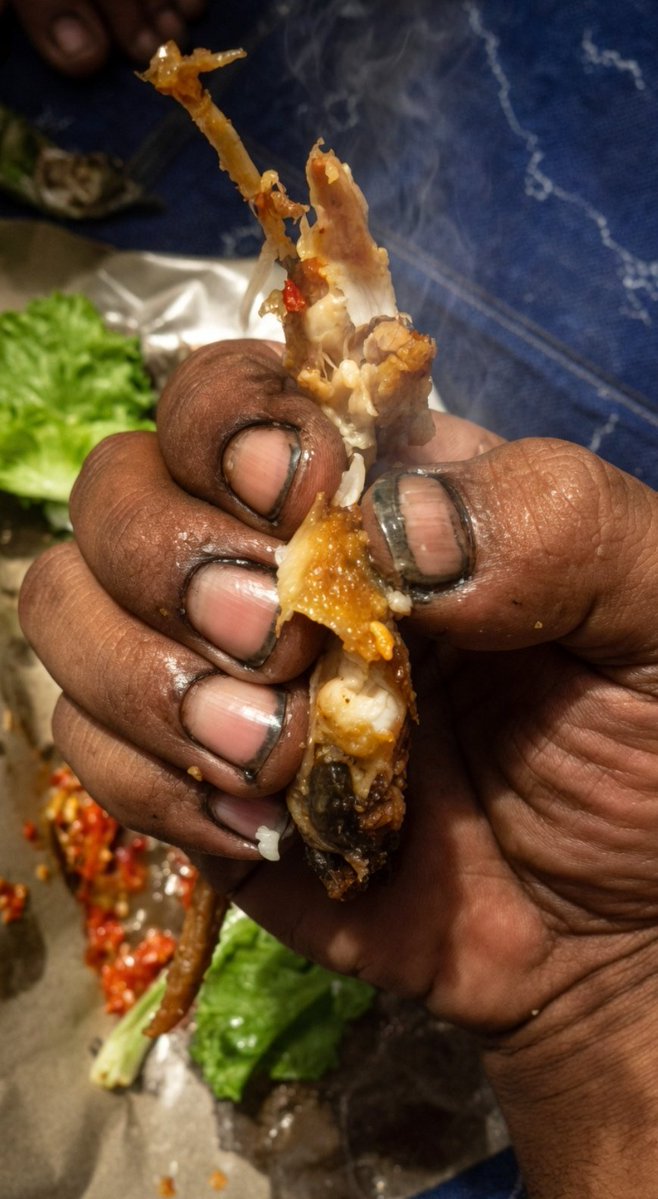 aril piterpen tweet media