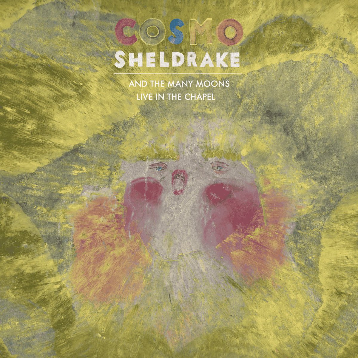 Cosmo Sheldrake tweet media