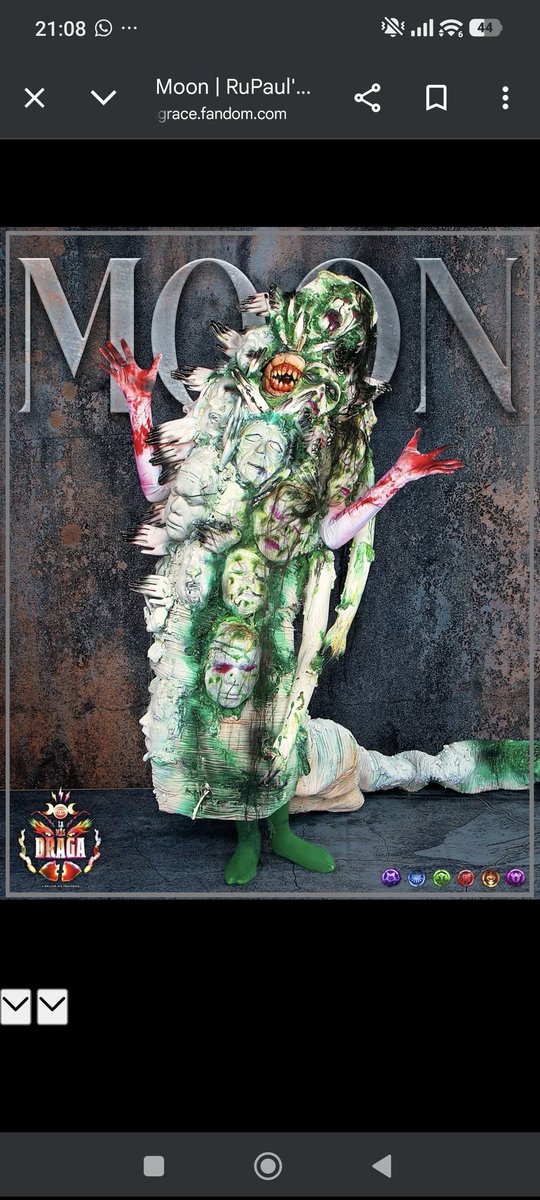 Parodi Paradise tweet media