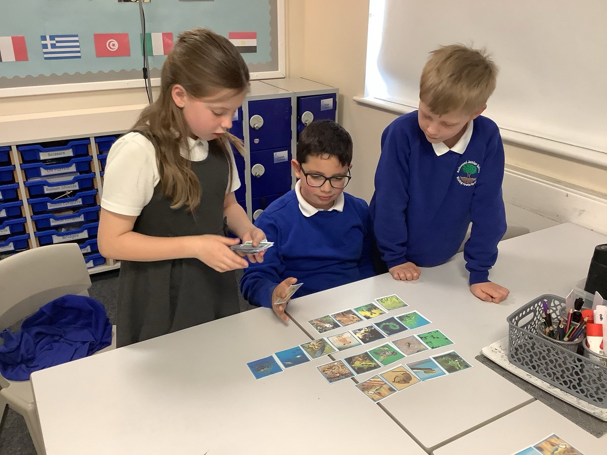 ReinwoodJuniors's tweet photo. #RJS4B really enjoyed constructing food chains in Science this week - they learned all about producers, consumers, predators and prey. #RJSScience https://t.co/nGZ08745Kq
