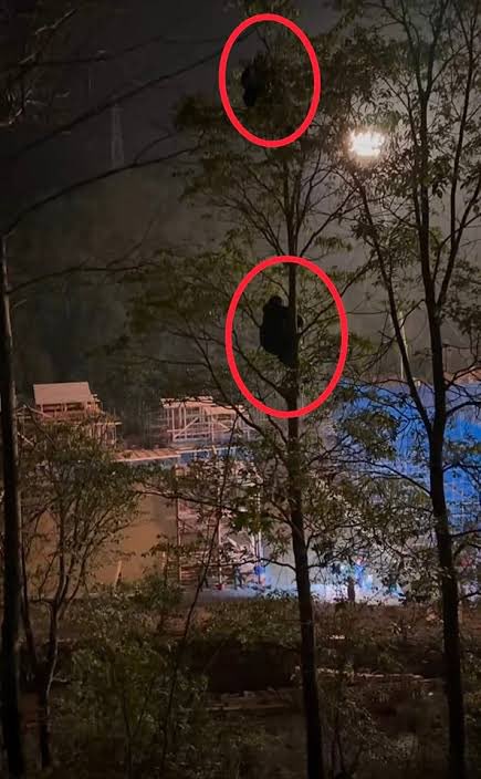 คำตอบคือใช่ 🤣 พร้อมภาพประกอบ สภาพตอนแอบถ่ายกองซีรีย์