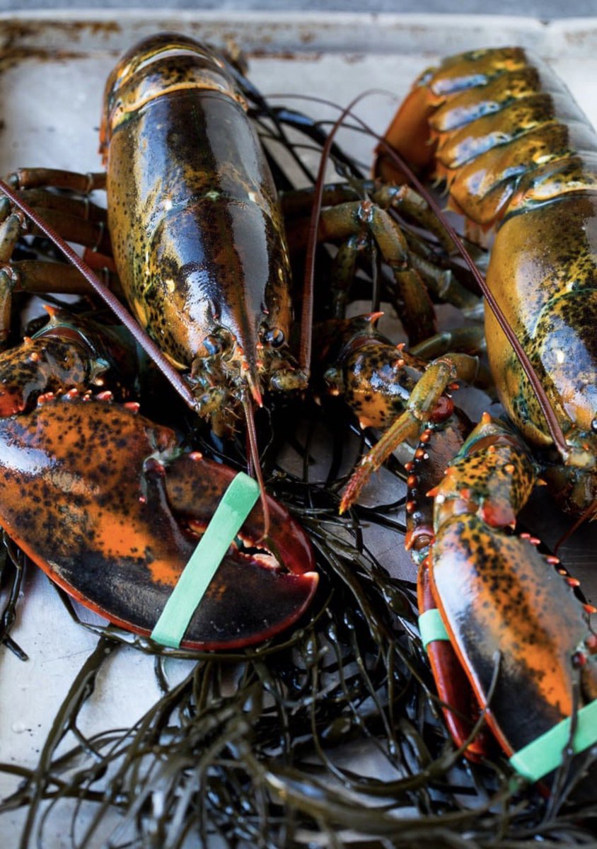 Atlantic Canada Seafood Group tweet media
