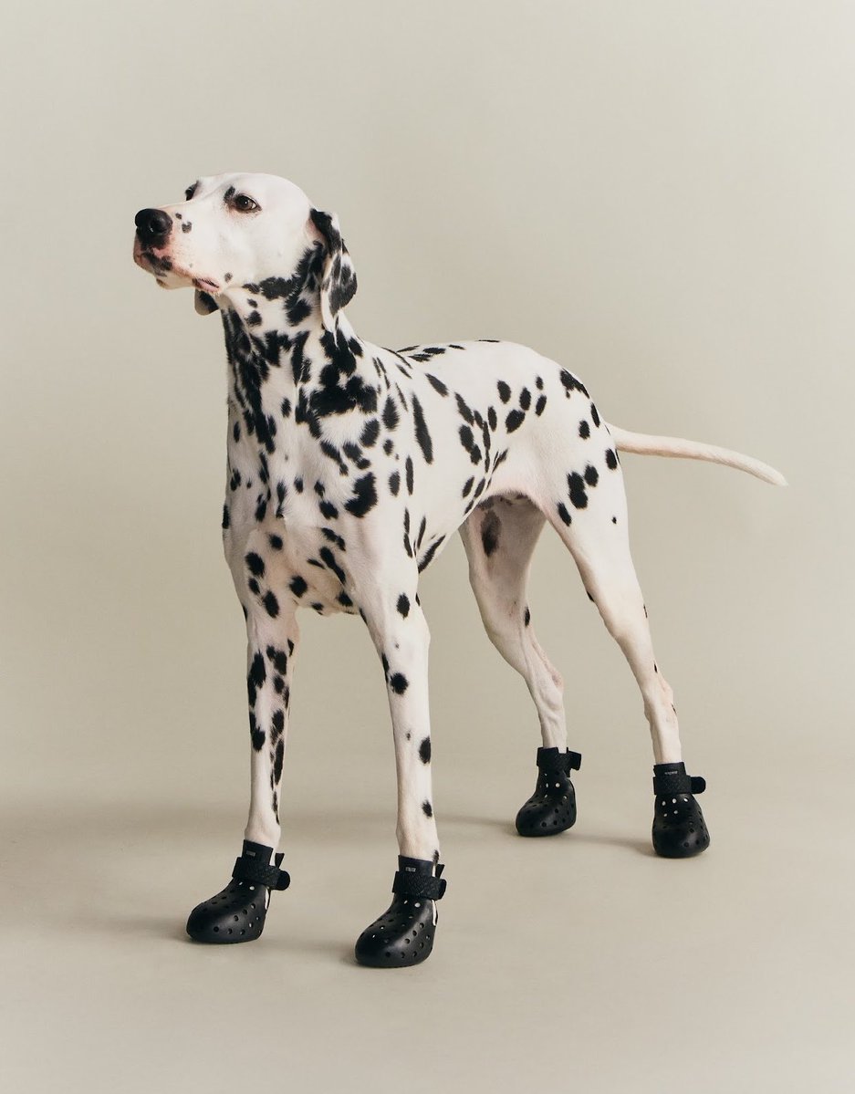 Outlander Magazine tweet media