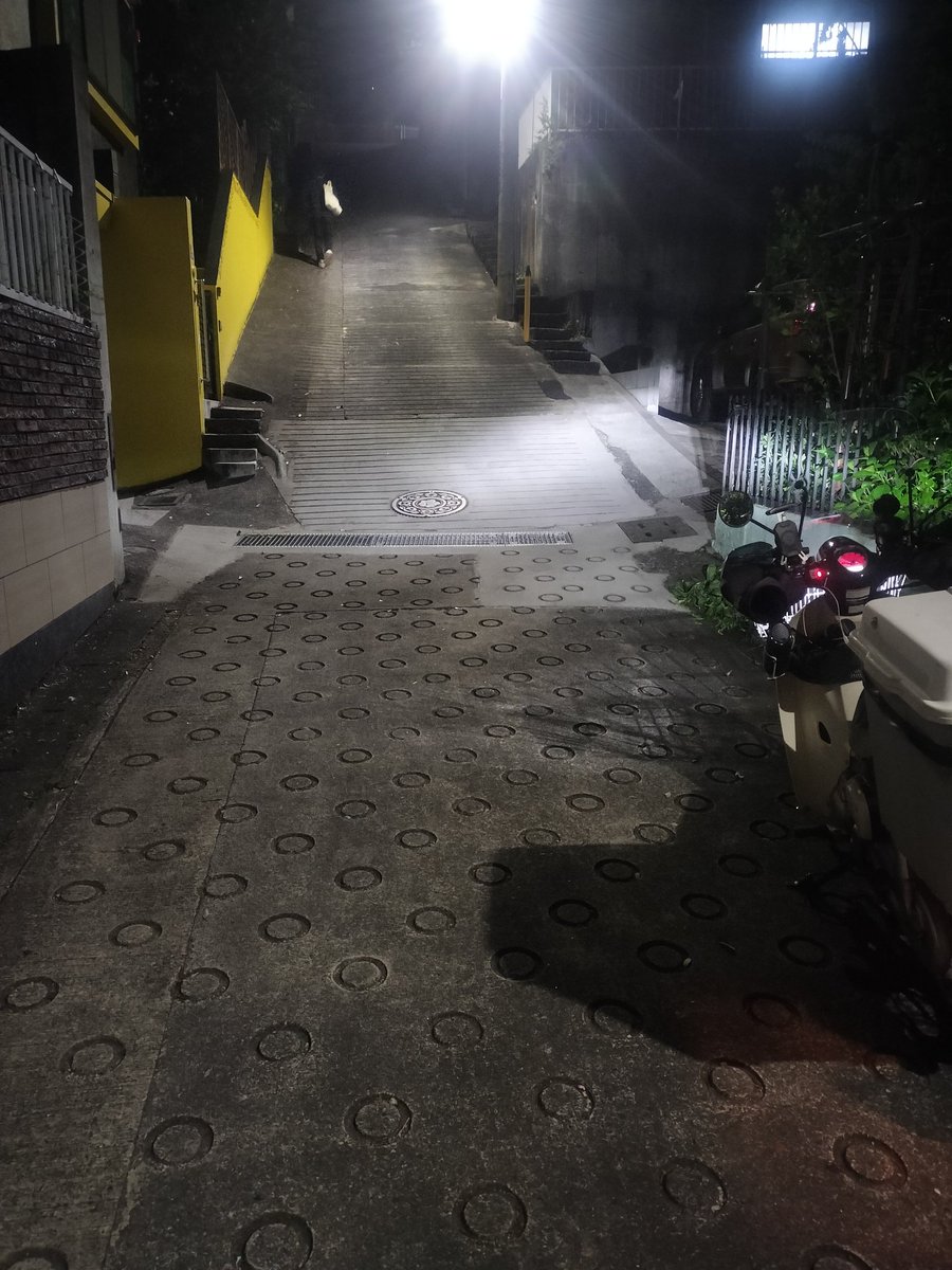 兎武023 tweet media