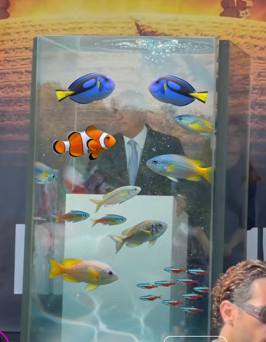 Elham Nikzat tweet media