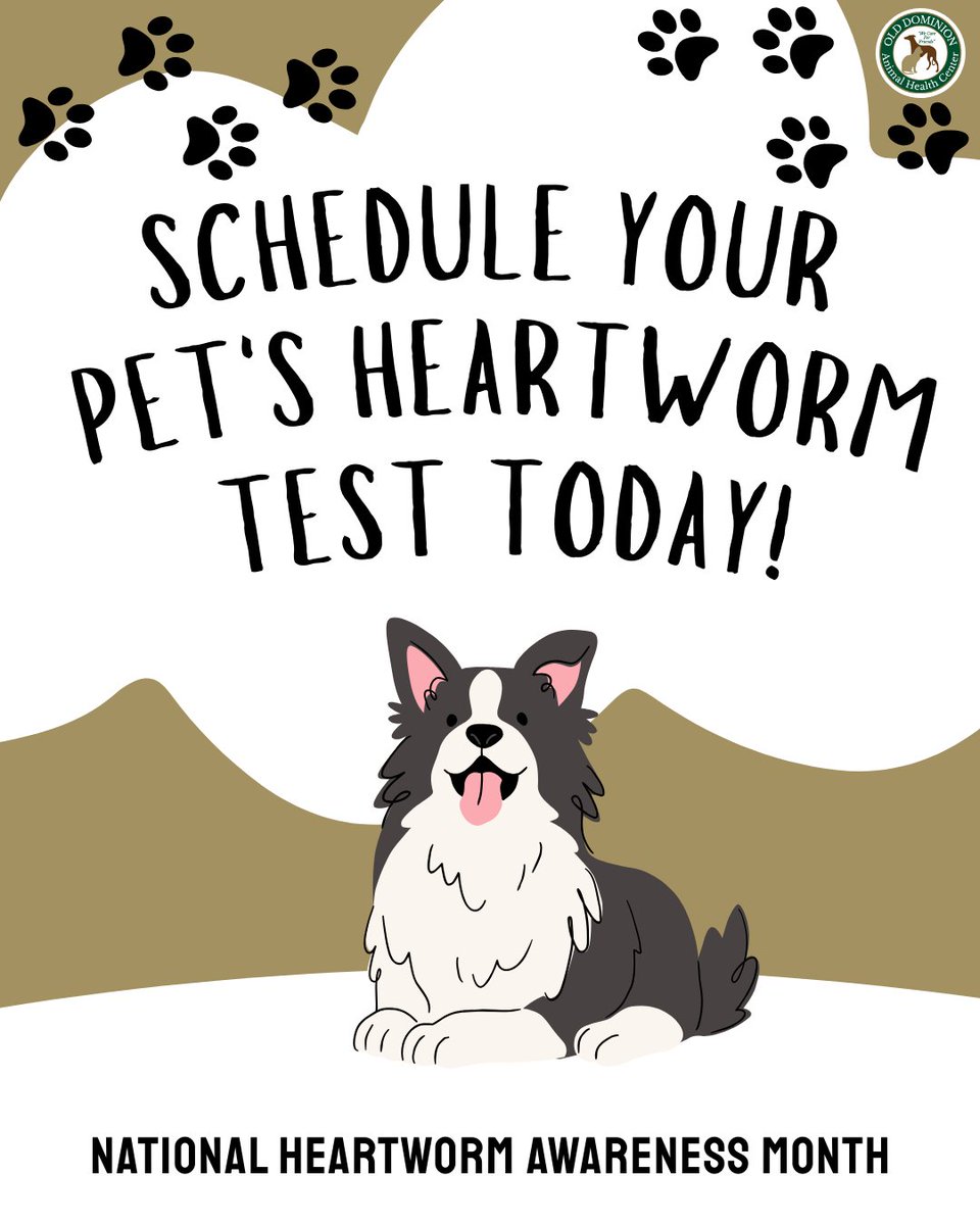 ODAHCenter's tweet image. 📅 When was your pet's last heartworm test? If you can't remember, it's time!

This National Heartworm Awareness Month, get your pet tested!

Book your pet's test today: odahcenter.com/contact/

#PetWellness #HeartwormTesting