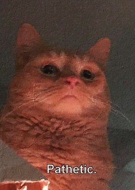 Axel Lyle 夢望 tweet media