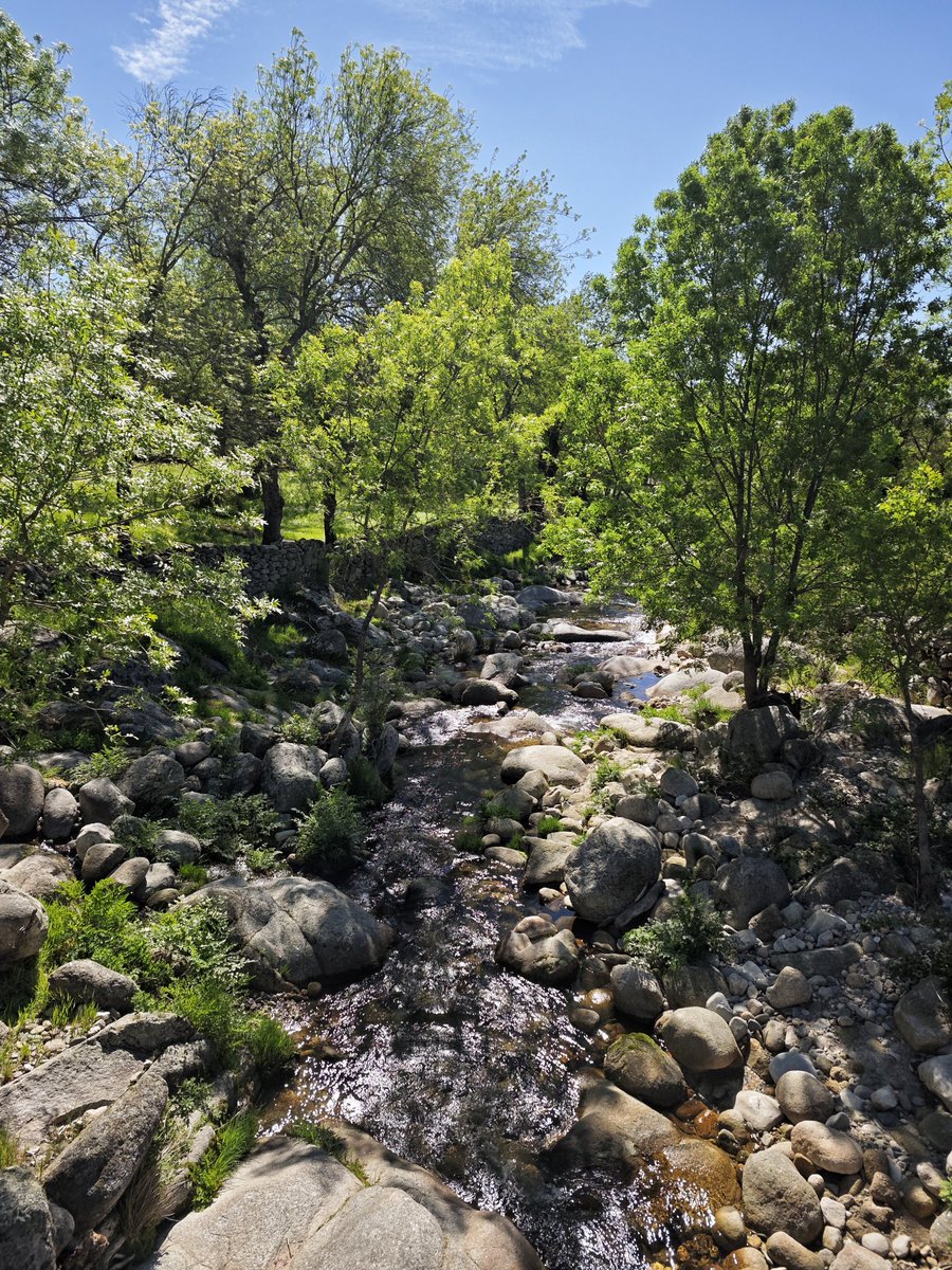 AlFiloInfngible's tweet photo. Senda de la Ermita del Espíritu Santo 👣 👣
📍Valverde del Fresno
#rute https://t.co/PbZ471tjtu
