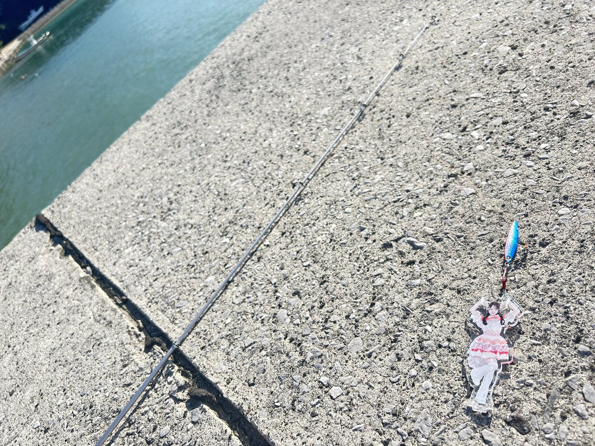 ゆりゅ tweet media