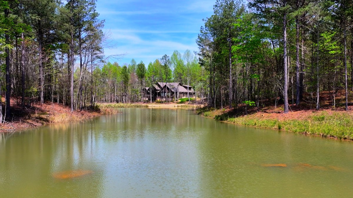 River Gorge Ranch tweet media
