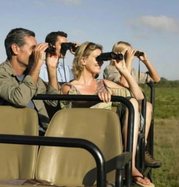 Thick Shelled Egg 🥚 tweet media