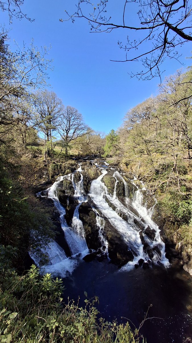 JeffAlbiston's tweet image. 📍Swallow Falls, Betws-y-Coed 🏴󠁧󠁢󠁷󠁬󠁳󠁿
📆 Fri 24th April 2026
📷 My photos.
#Snowdonia #Wales #waterfalls