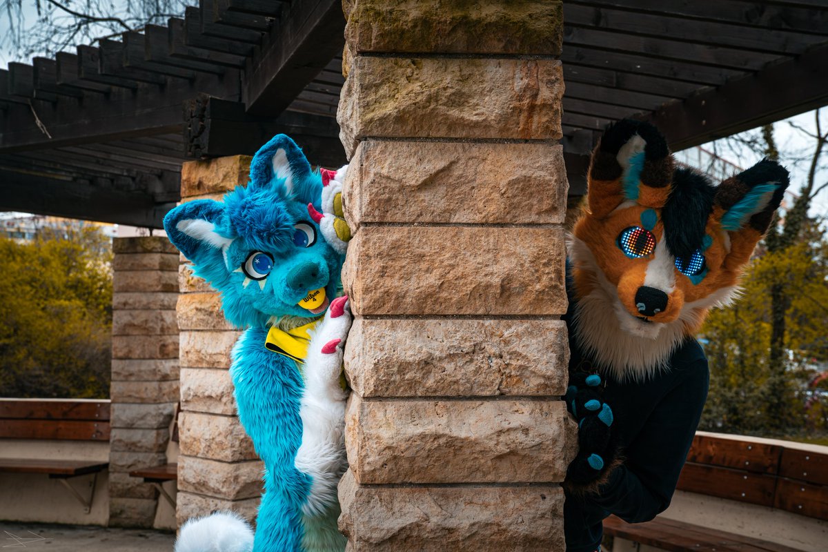 mato_husky tweet media