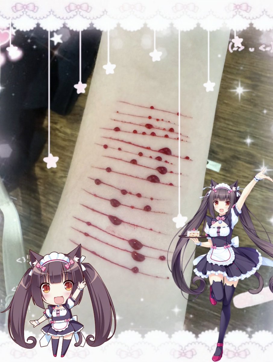 Chocola 🐾 shedtwt || tweet media