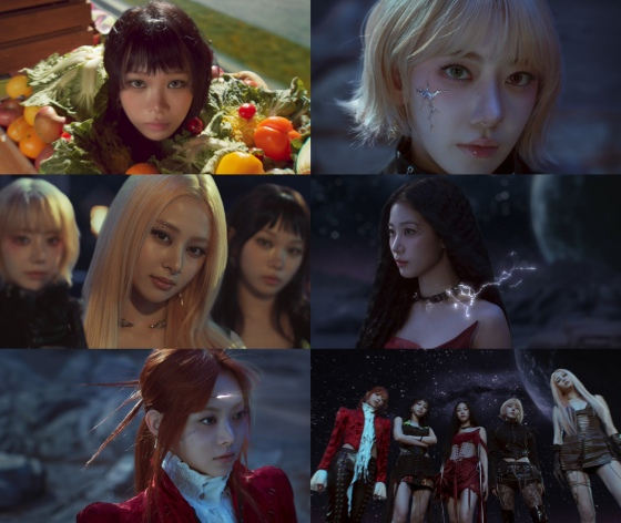 다시마 tweet media