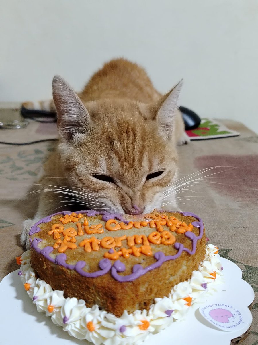 day ⊙⊝⊜ tweet media