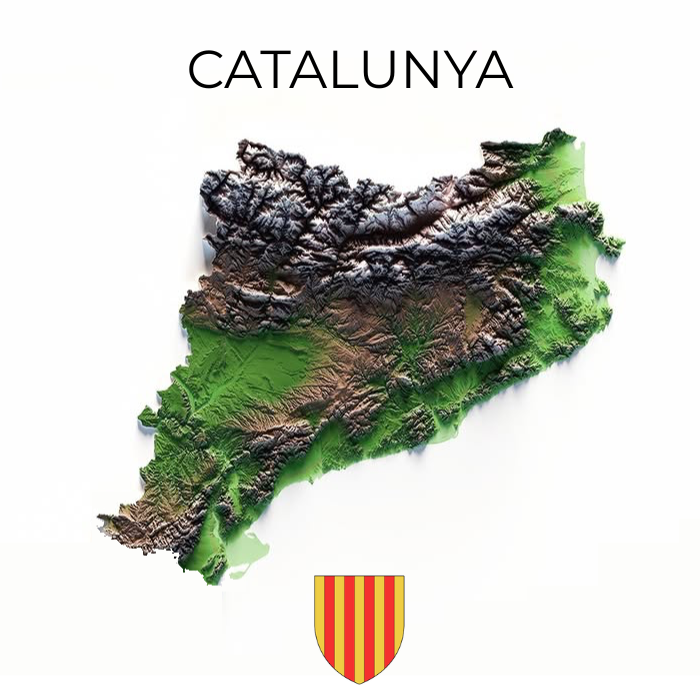 Pep Toni tweet media