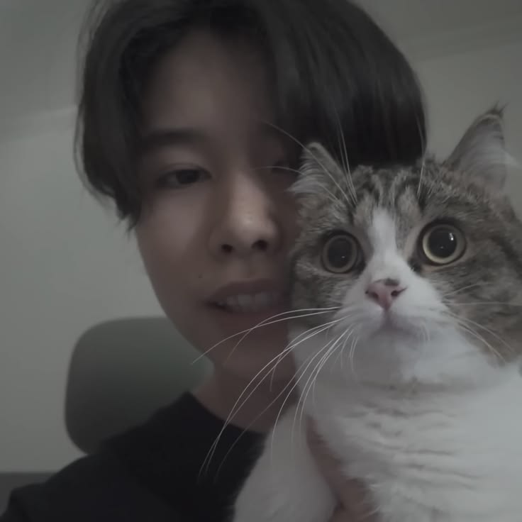 ren 🐻‍❄️ tweet media