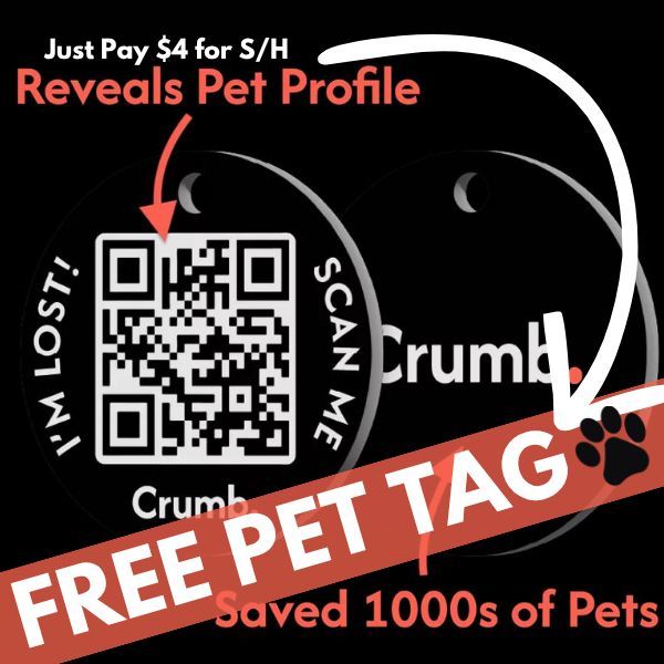 TheReviewWire's tweet image. 🐾 Order a Free smart tag for your pet now - just pay $4 for shipping! (AD) inflcm.com/5Fz/eJsF

#tongueouttuesday #woofwoofwednesday #meowmonday