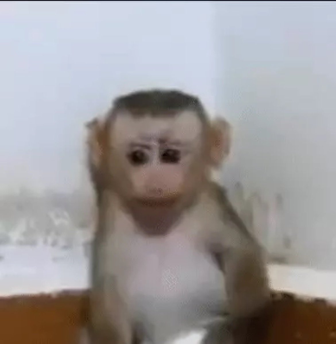 tres horas de sueño, cursando desde las ocho de la mañana hasta las seis de la tarde y resumiendo en mi hora libre, no hay raquetazo que me ayude hoy