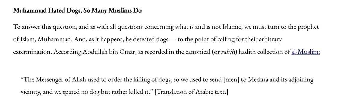 Restore For Dogs tweet media