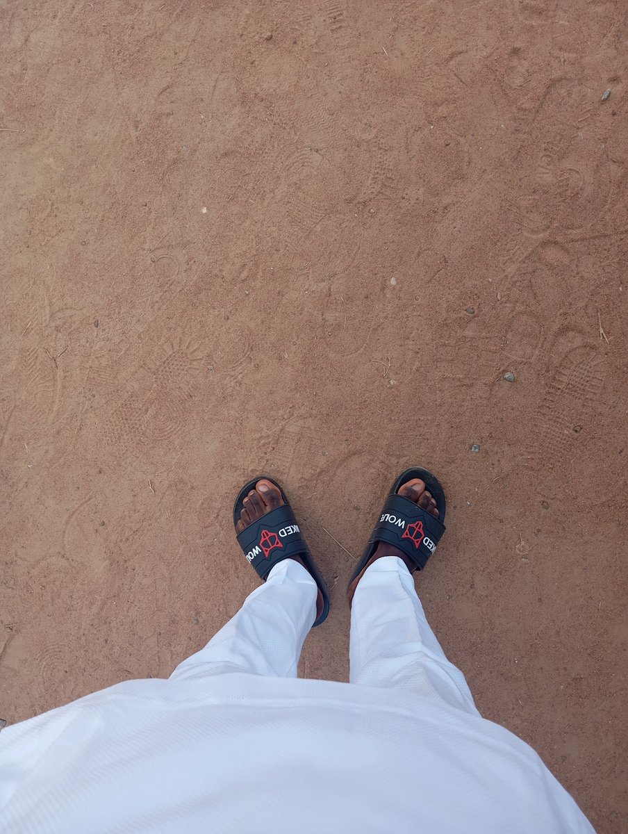 Steve ◈ tweet media