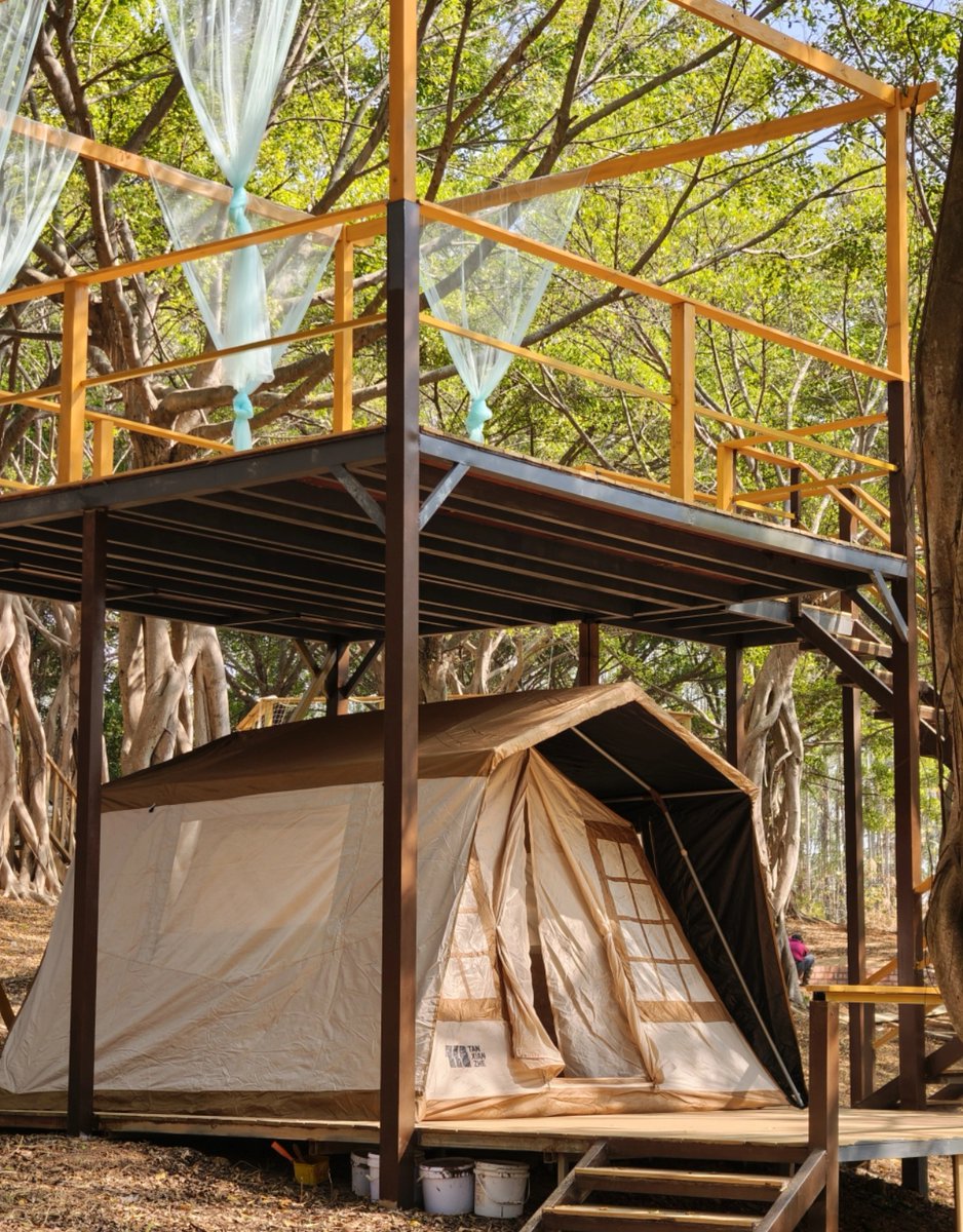 PheyiSho tweet media