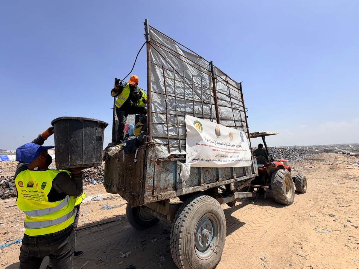 UNDP Palestine tweet media