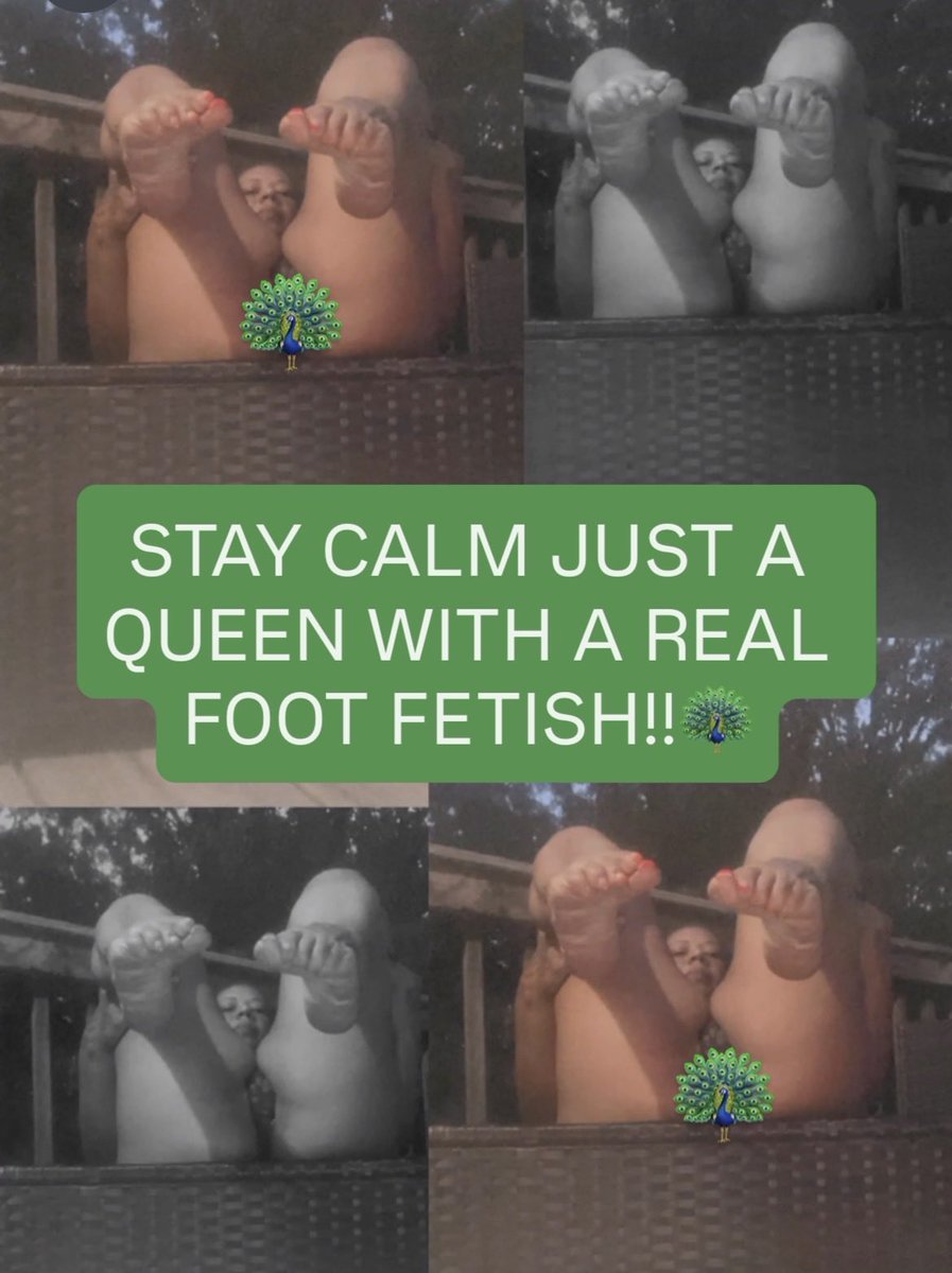 Danimixsheba tweet media