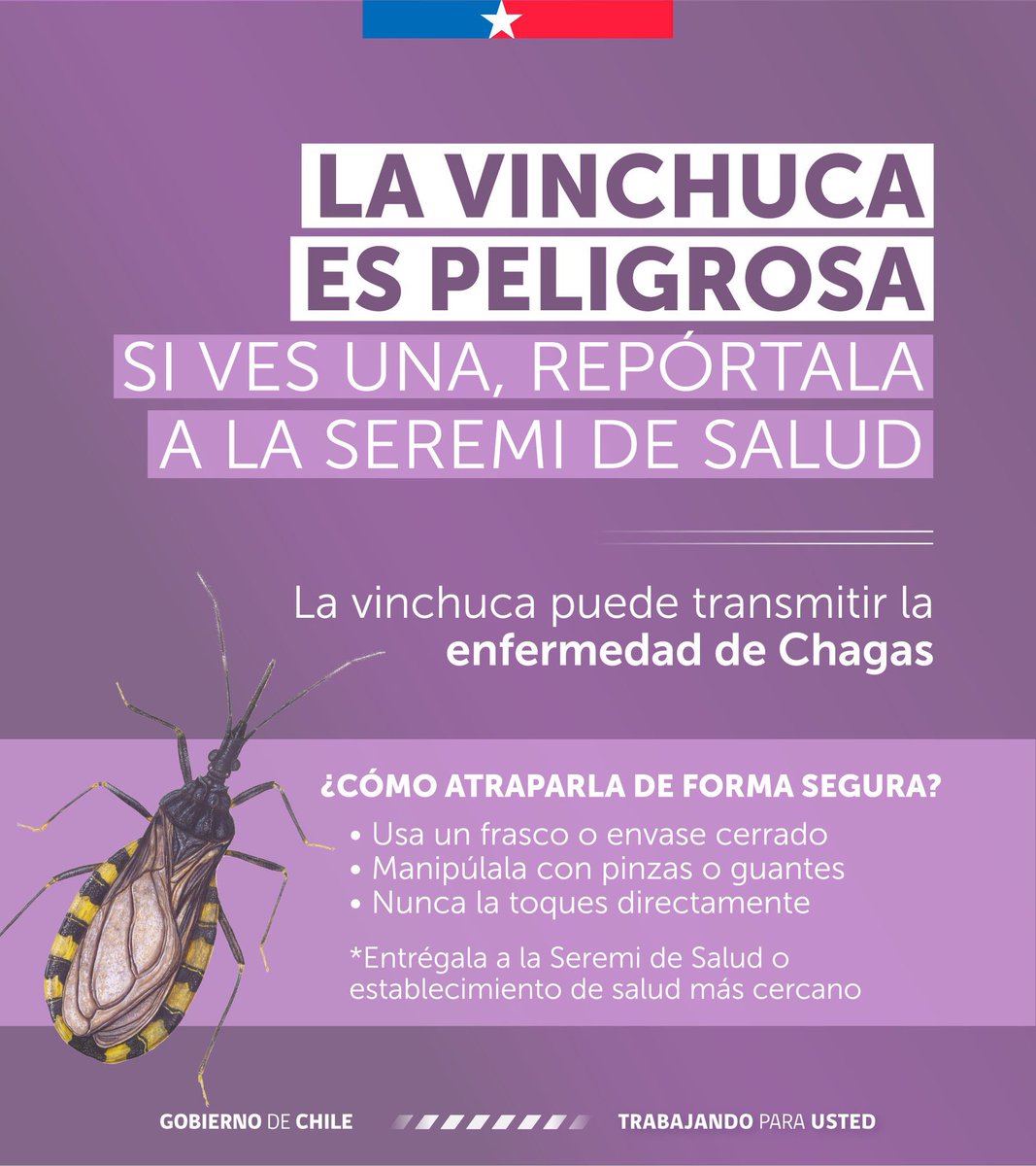 SEREMI de Salud Región Valparaíso tweet media