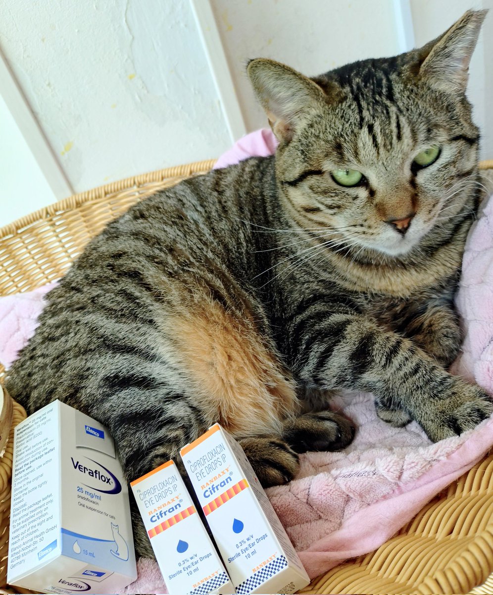 ぽちたま薬局様からお薬のご支援をいただきました。ありがとうございます。

期限なしで使えるクーポンコードはこちらです　　iv3ga4

#ぽちたま支援プログラム