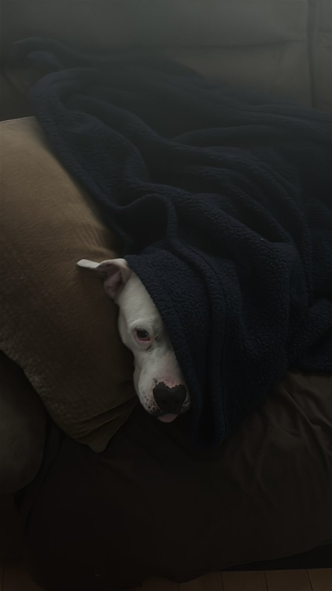 Hunter of 988TWT☁︎｡⋆𓂃ོ tweet media