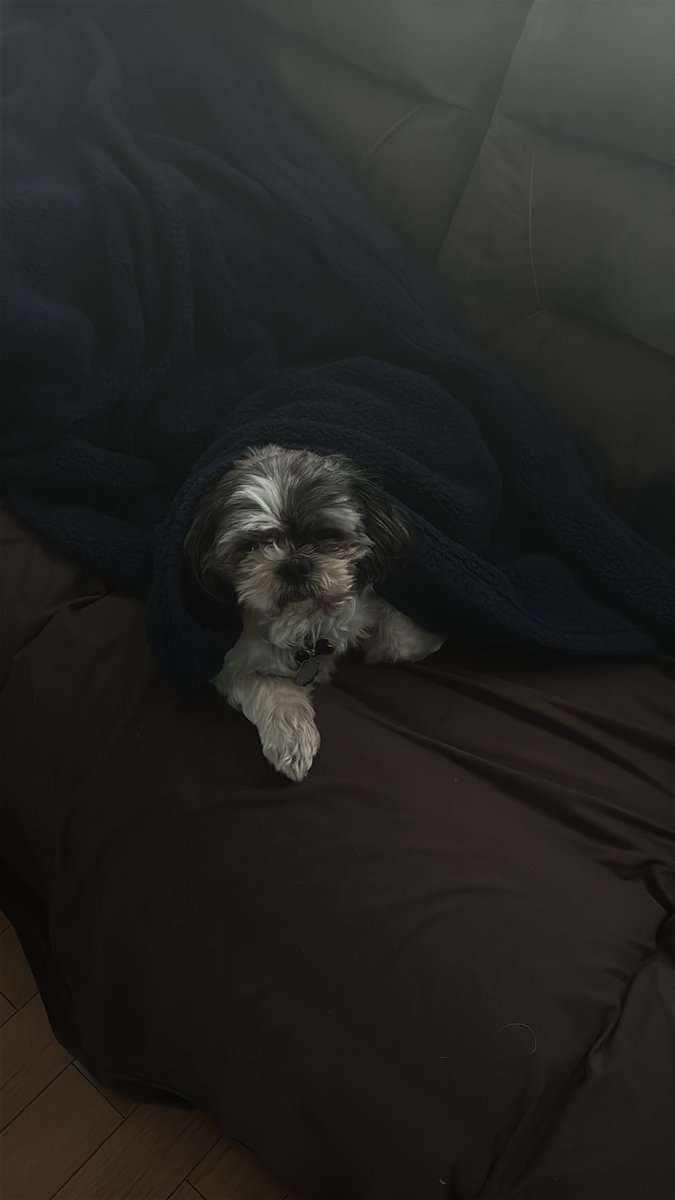 Hunter of 988TWT☁︎｡⋆𓂃ོ tweet media