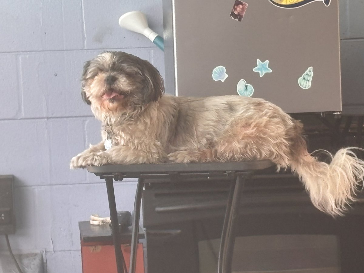 Hunter of 988TWT☁︎｡⋆𓂃ོ tweet media