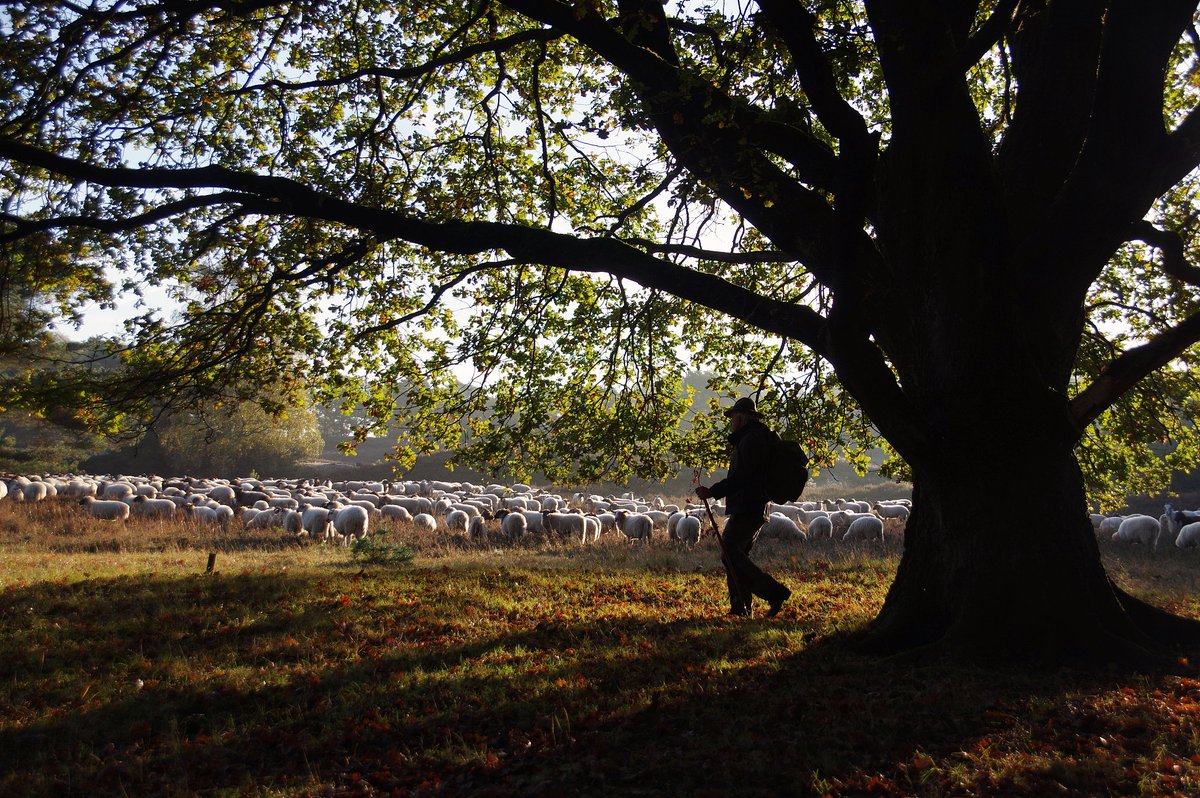 emily ragsdale tweet media