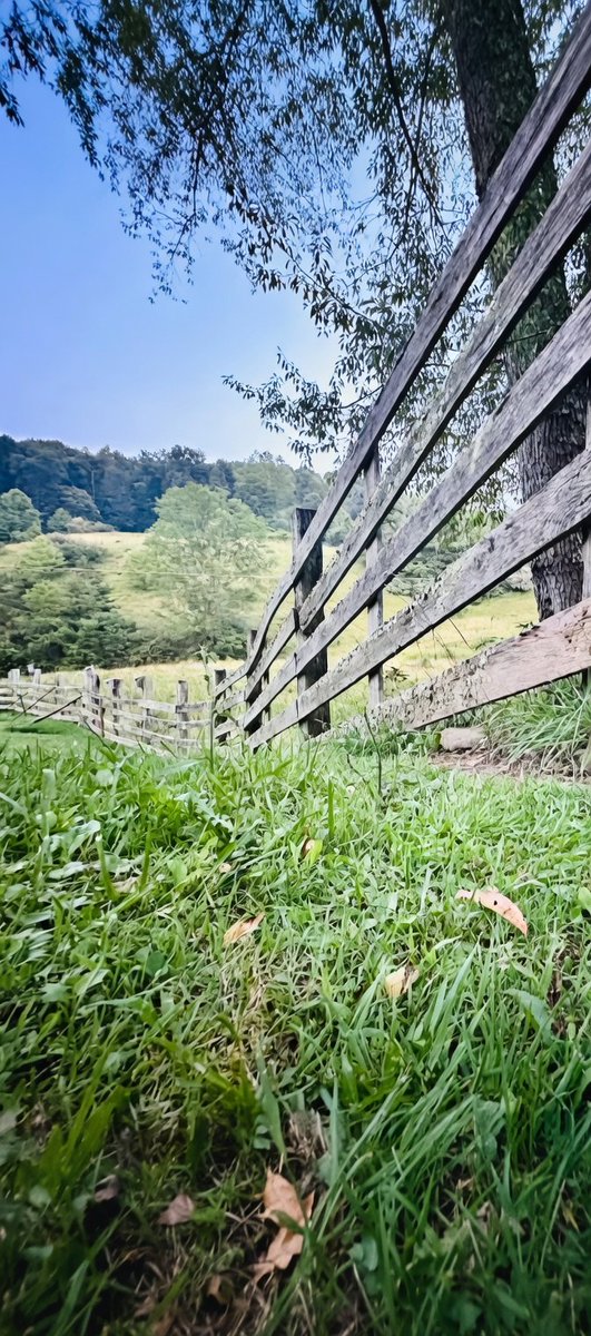 Guissepie31393's tweet image. Mountains nature picture of the day.

#Appalachia  #Pastures  #morning

               Credit: LauraH