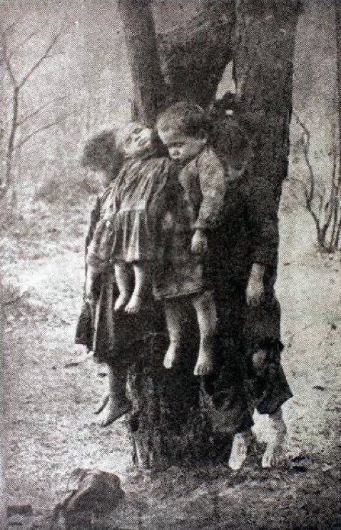 TeutonicRapist88 tweet media