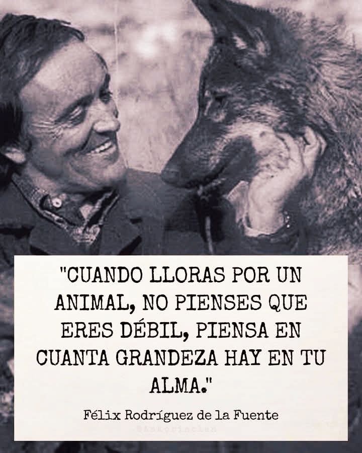 Alfredo Marquez T. tweet media