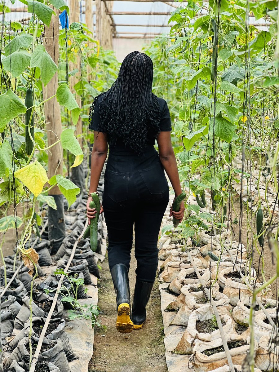 Carol Prim ❤️🤭 tweet media