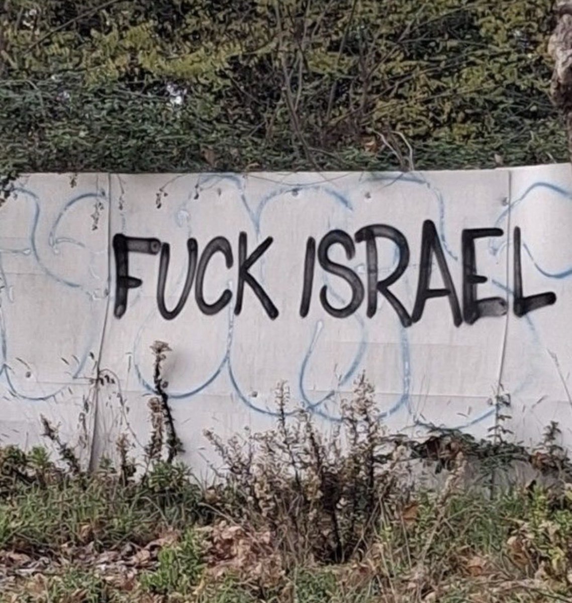 عمرو tweet media