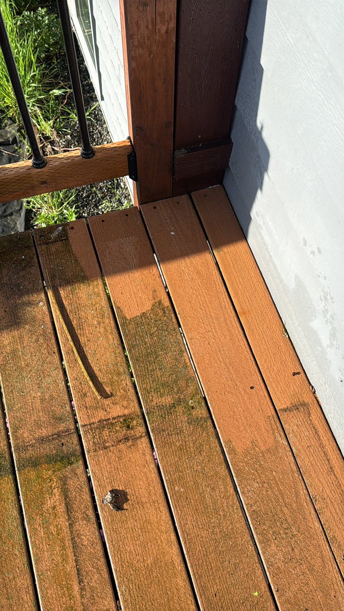 fuck isreal fuck isreal fuck isreal fuck isreal tweet media