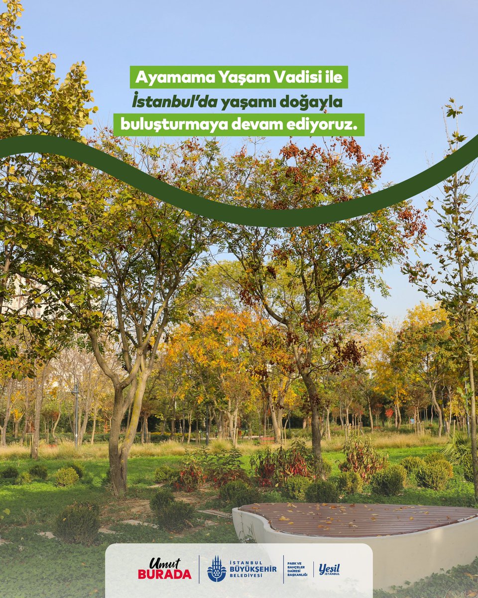 Yeşil İstanbul 🌿 tweet media