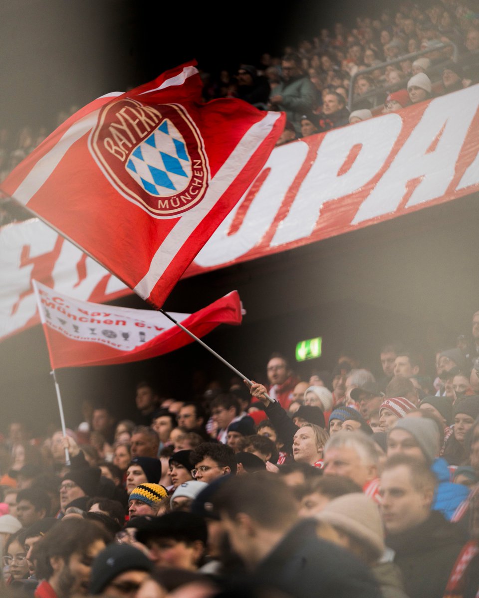 FC Bayern Frauen tweet media